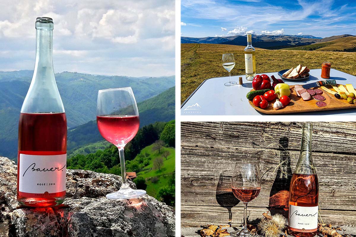 Excursie cu vin premium în România